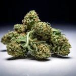 BC-Exotics-AAAA-hybrid-Cannabis-strains. BC Exotics Same day Weed Delivery.